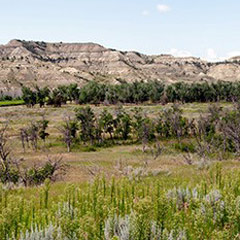 Badlands at Theodore Roosevelt National Park, North Dakota