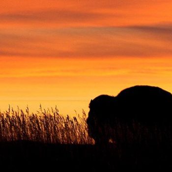 Sunset in the badlands of North Dakota